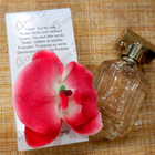 Парфюм Hugo Boss The Scent