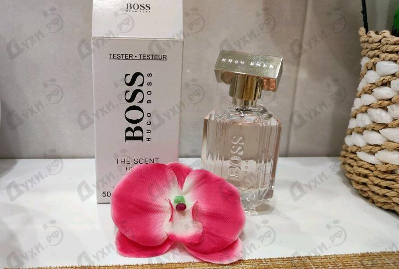 Парфюмерия The Scent от Hugo Boss