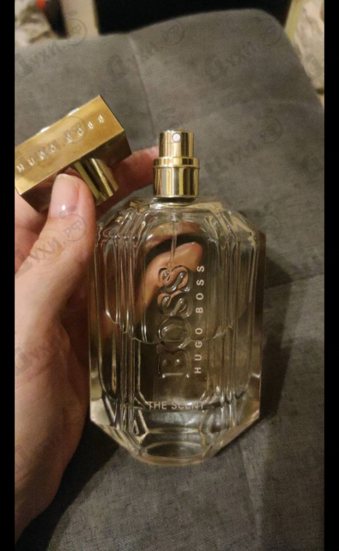 Парфюмерия Hugo Boss The Scent