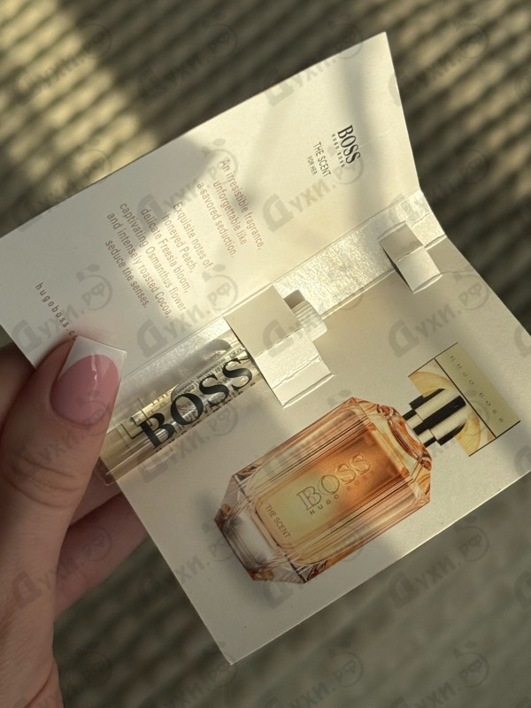 Парфюмерия The Scent от Hugo Boss