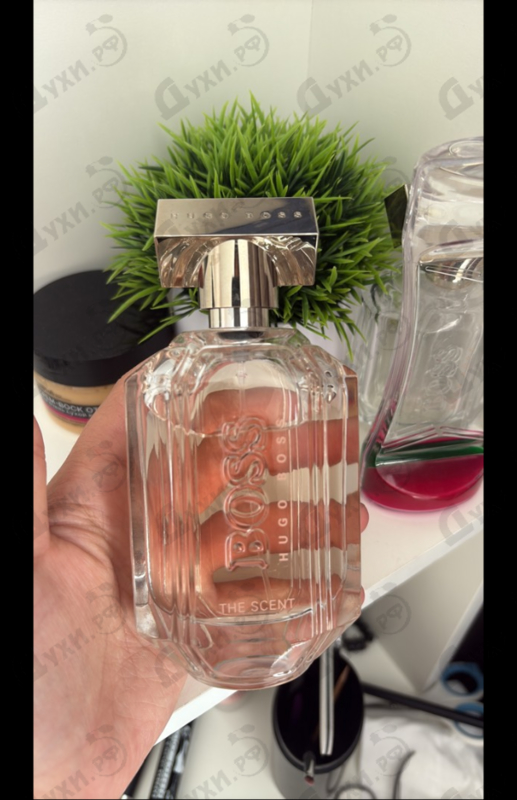 Купить Hugo Boss The Scent