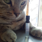 Парфюм Calvin Klein Deep Euphoria