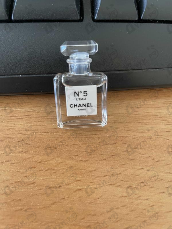Купить Chanel No 5 L'eau