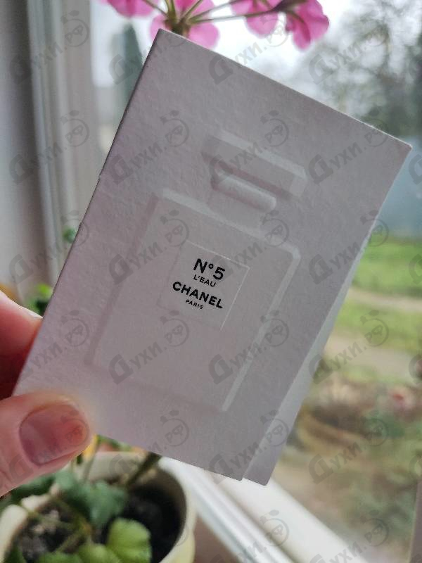 Отзыв Chanel No 5 L'eau