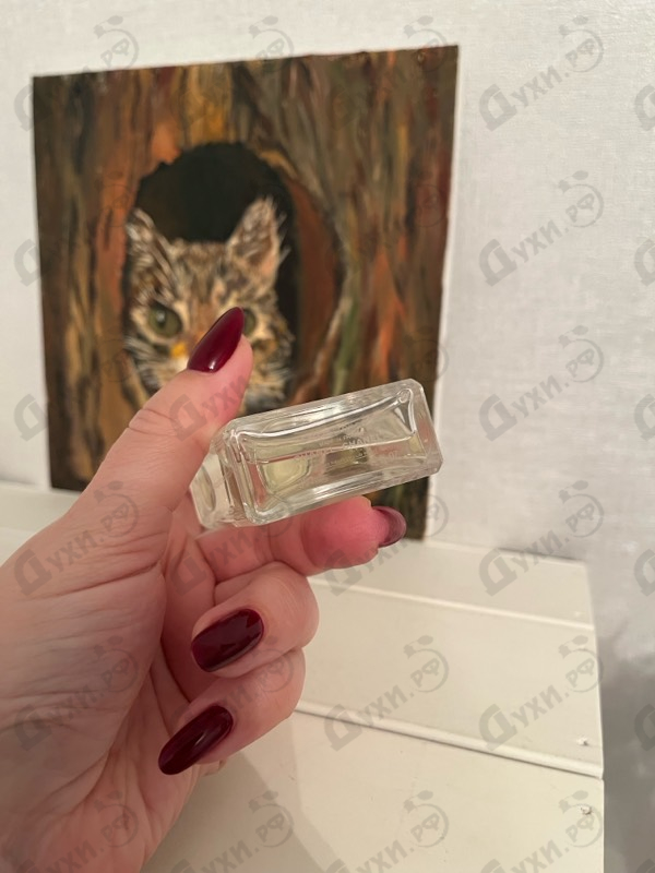 Парфюмерия No 5 L'eau от Chanel