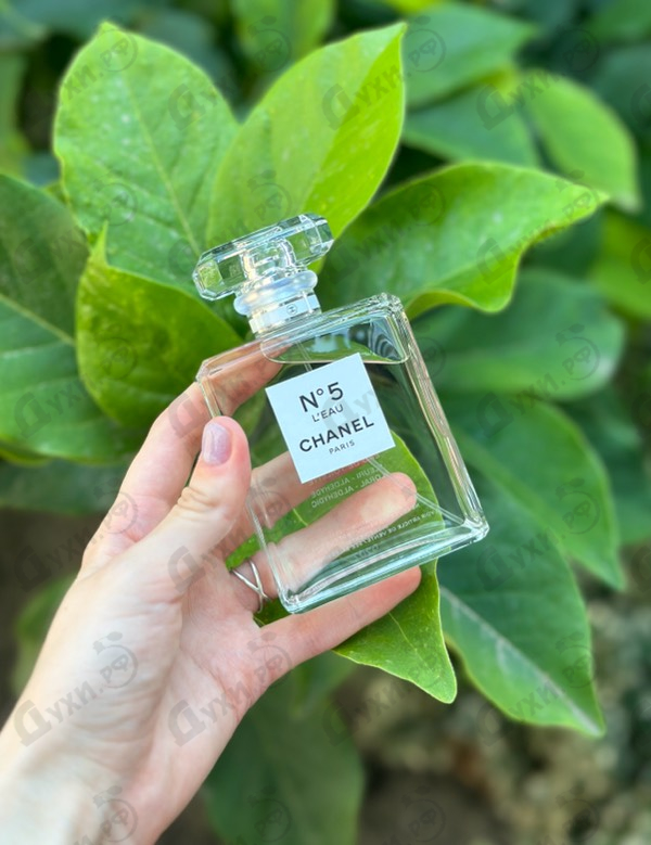 Купить No 5 L'eau от Chanel