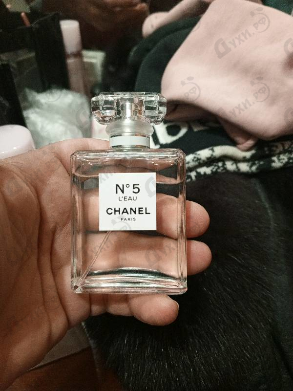 Отзыв Chanel No 5 L'eau