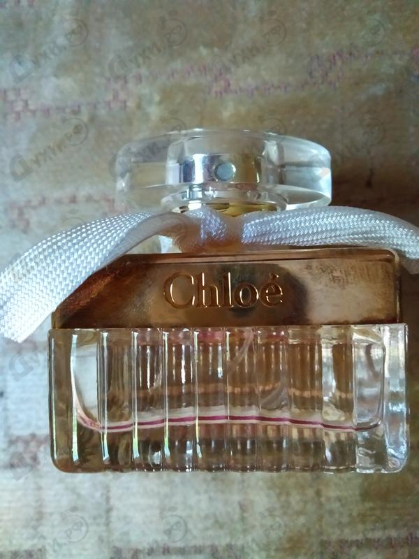 Отзыв Chloe Fleur De Parfum Парфюмерия Fleur De Parfum от Chloe