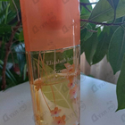 Отзыв Elizabeth Arden Green Tea Nectarine Blossom