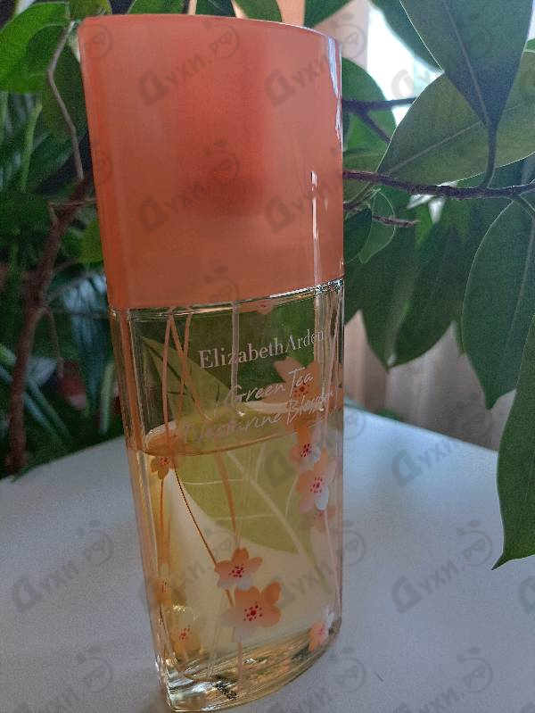 Отзывы Elizabeth Arden Green Tea Nectarine Blossom