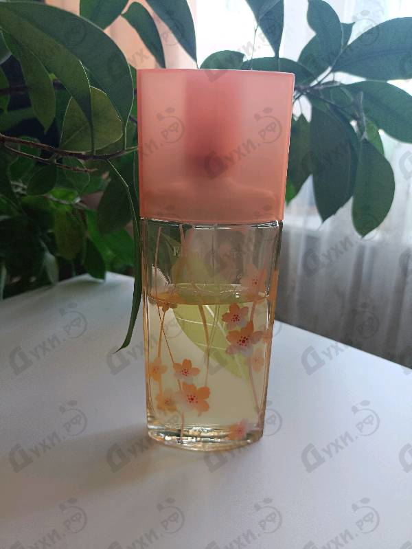 Духи Green Tea Nectarine Blossom от Elizabeth Arden