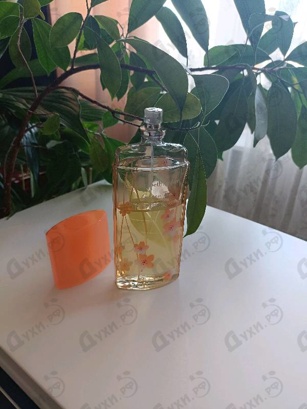 Парфюмерия Elizabeth Arden Green Tea Nectarine Blossom