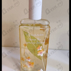 Парфюм Elizabeth Arden Green Tea Nectarine Blossom