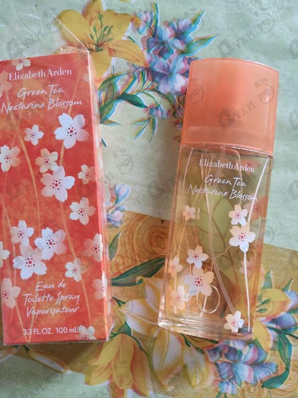 Купить Green Tea Nectarine Blossom от Elizabeth Arden