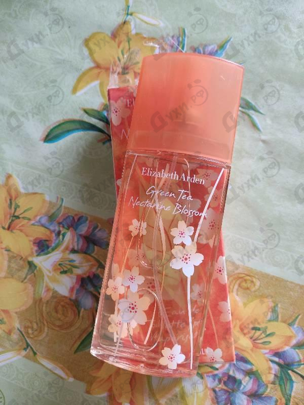 Парфюмерия Elizabeth Arden Green Tea Nectarine Blossom