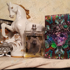 Отзыв Renegades Mark Buxton