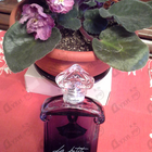 Отзывы Guerlain La Petite Robe Noire Intense