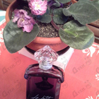 Парфюм Guerlain La Petite Robe Noire Intense