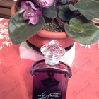 Духи La Petite Robe Noire Intense от Guerlain