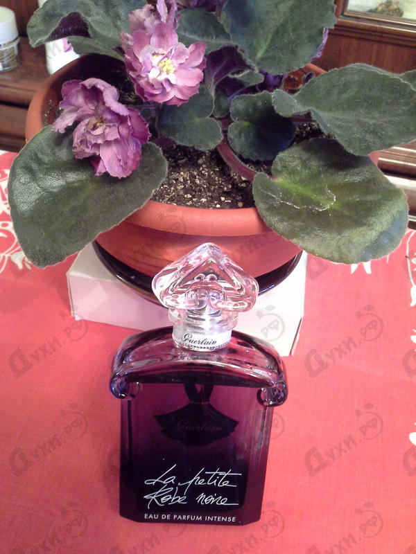 Духи La Petite Robe Noire Intense от Guerlain