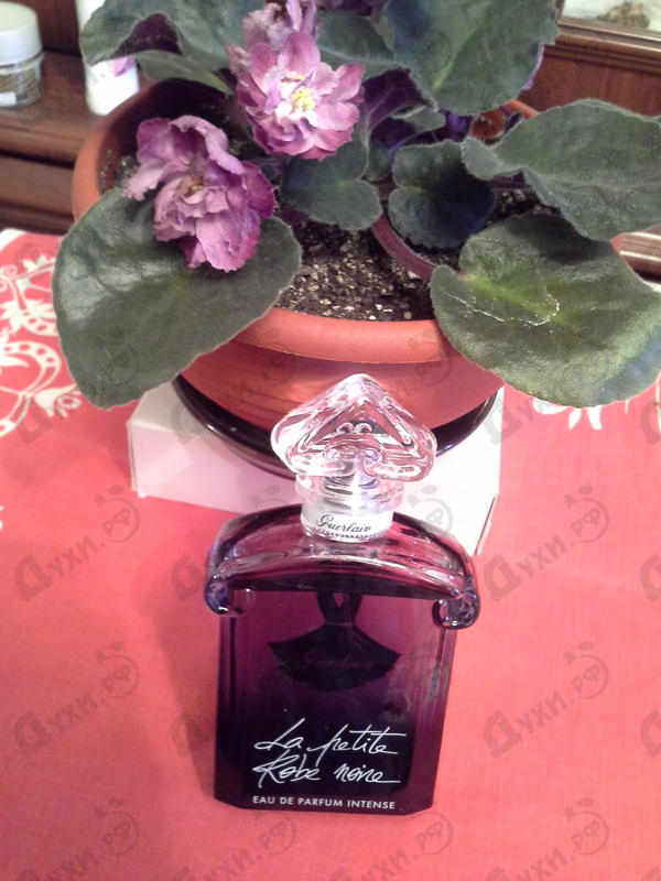 Парфюмерия Guerlain La Petite Robe Noire Intense