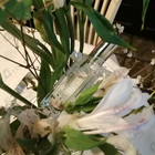 Парфюм Jo Malone Basil & Neroli