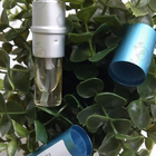 Духи Wild Cherry от Mancera