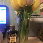 Парфюм Mancera Wild Cherry