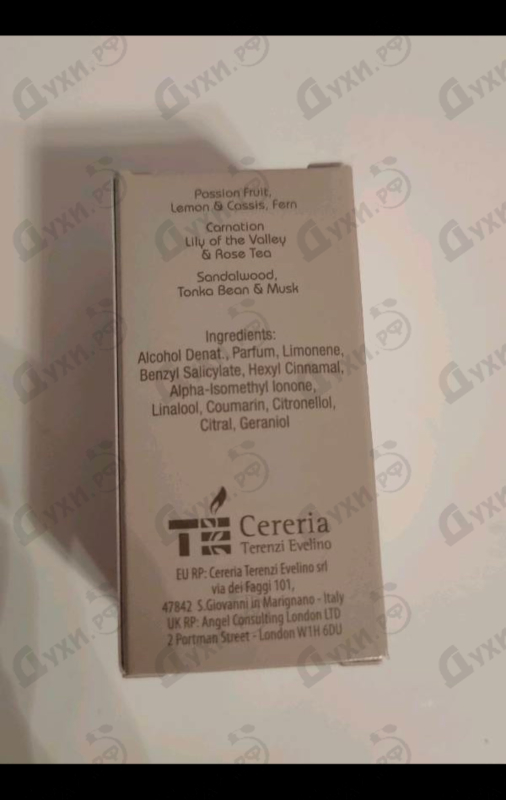 Купить Cassiopea от Tiziana Terenzi