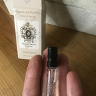 Отзыв Tiziana Terenzi Cassiopea