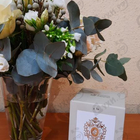 Отзыв Tiziana Terenzi Cassiopea