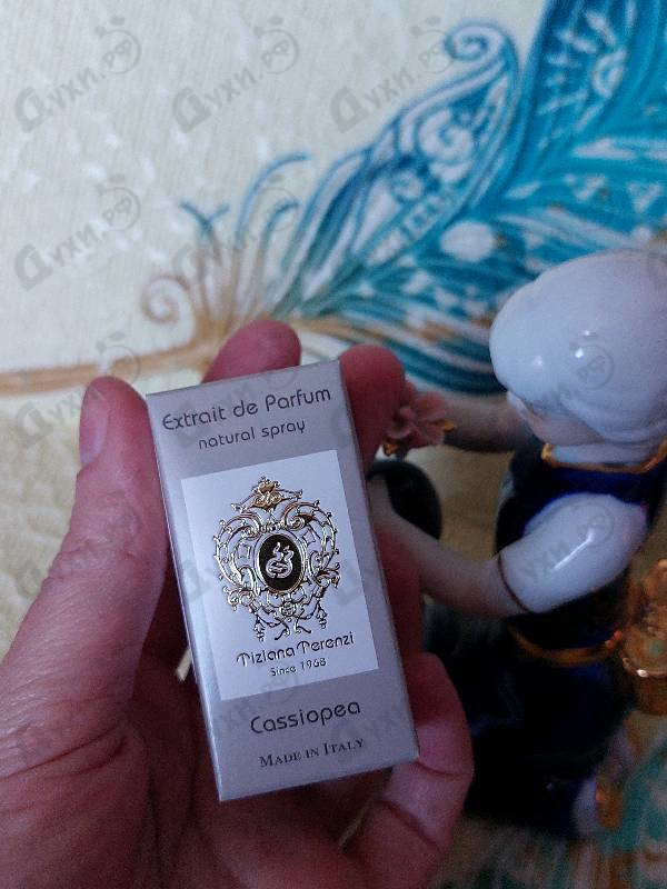 Отзыв Tiziana Terenzi Cassiopea