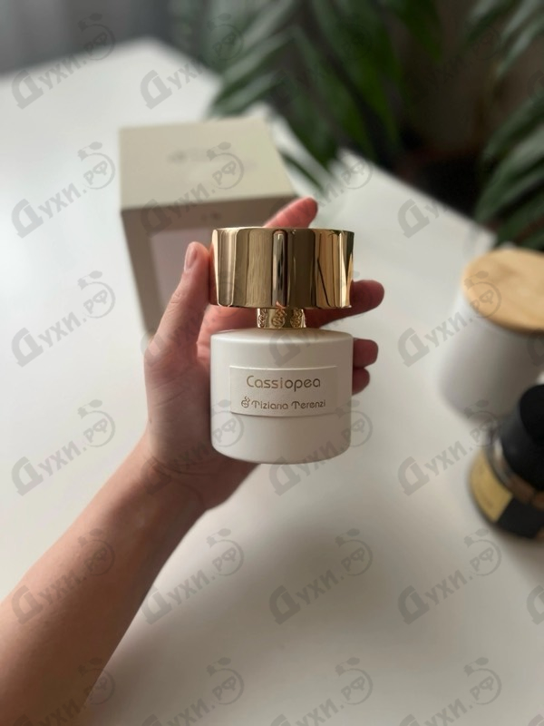 Духи Cassiopea от Tiziana Terenzi