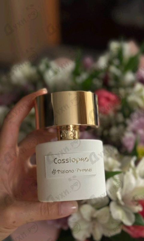 Купить Cassiopea от Tiziana Terenzi