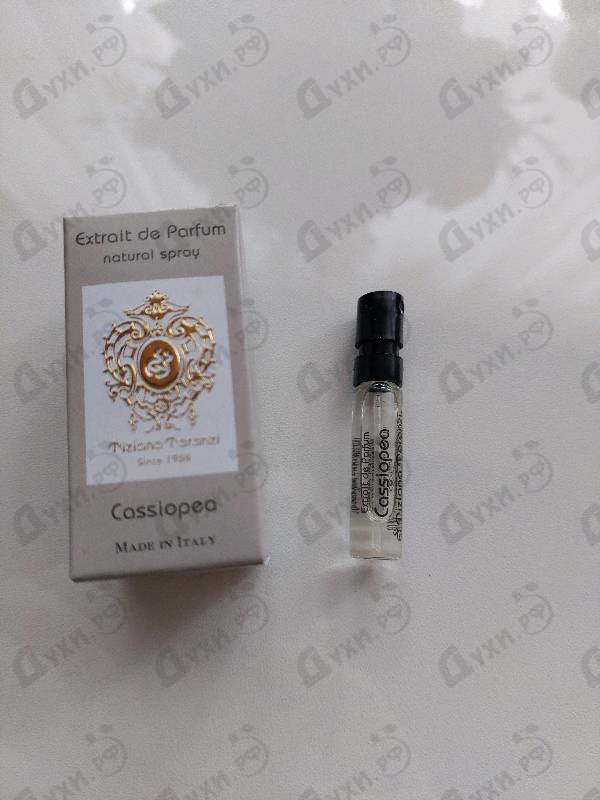 Купить Cassiopea от Tiziana Terenzi