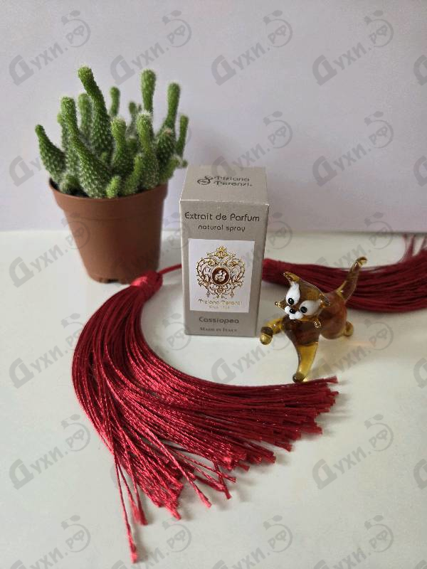 Отзывы Tiziana Terenzi Cassiopea