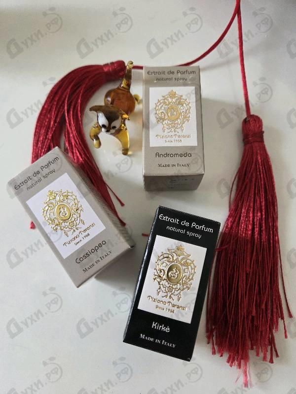 Купить Cassiopea от Tiziana Terenzi