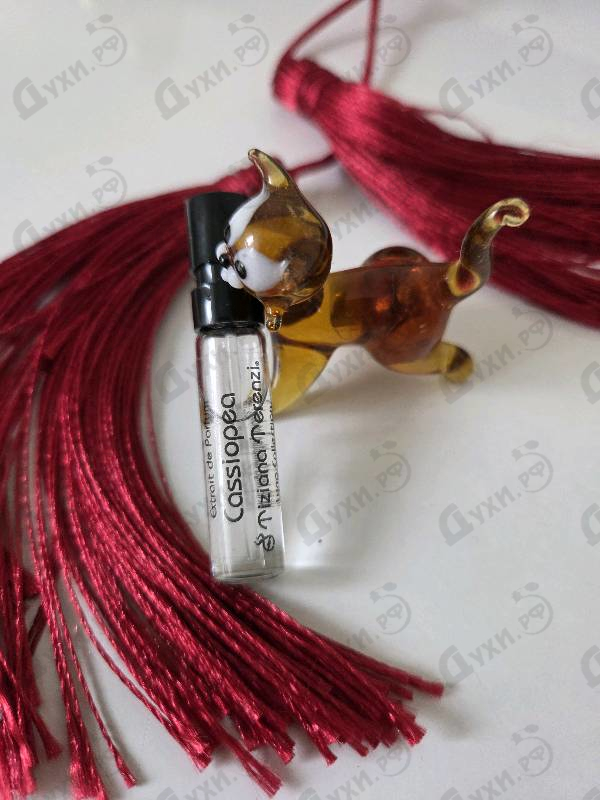 Купить Tiziana Terenzi Cassiopea