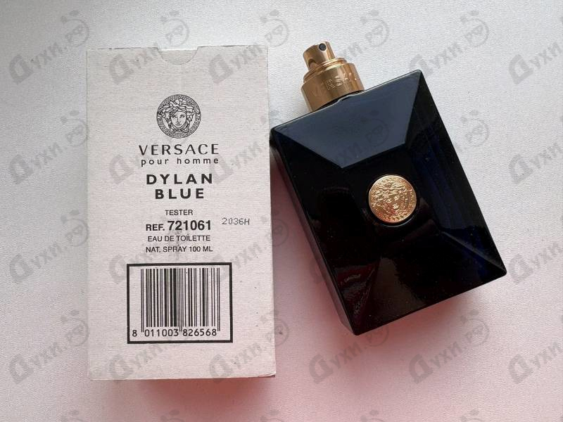 Отзывы Versace Dylan Blue