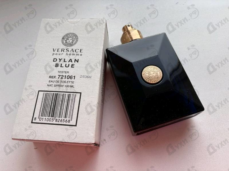 Купить Versace Dylan Blue
