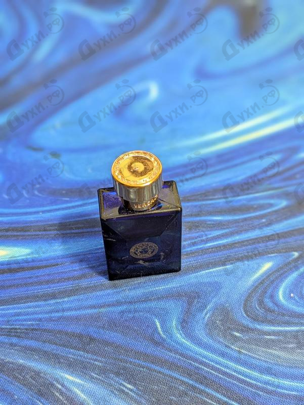 Парфюмерия Versace Dylan Blue
