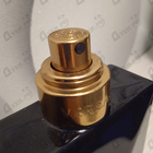 Отзывы Versace Dylan Blue