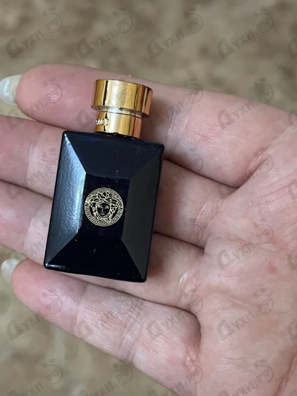 Парфюмерия Dylan Blue от Versace