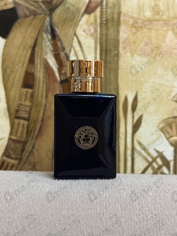 Парфюмерия Versace Dylan Blue