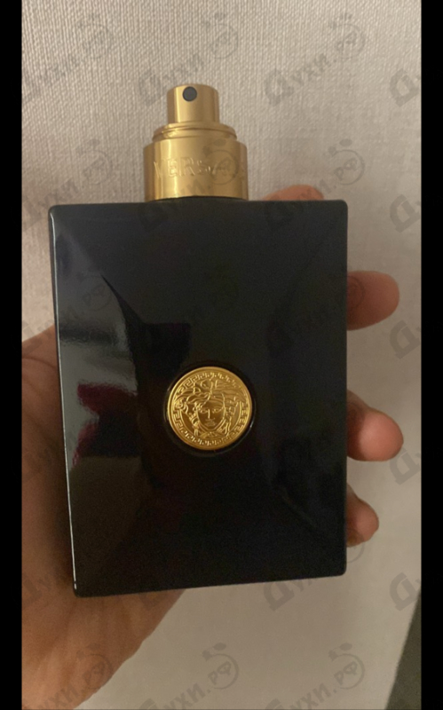 Парфюмерия Versace Dylan Blue