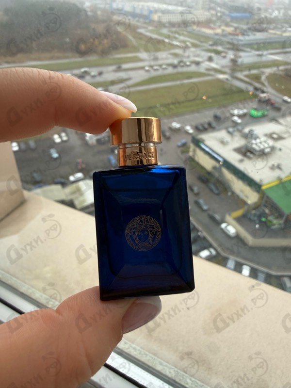 Отзыв Versace Dylan Blue