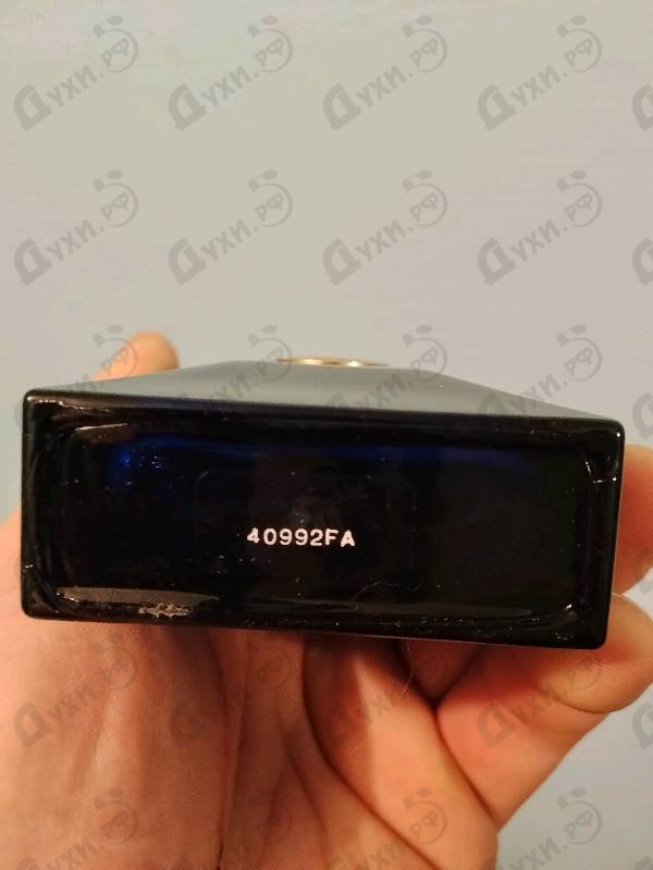 Парфюмерия Versace Dylan Blue