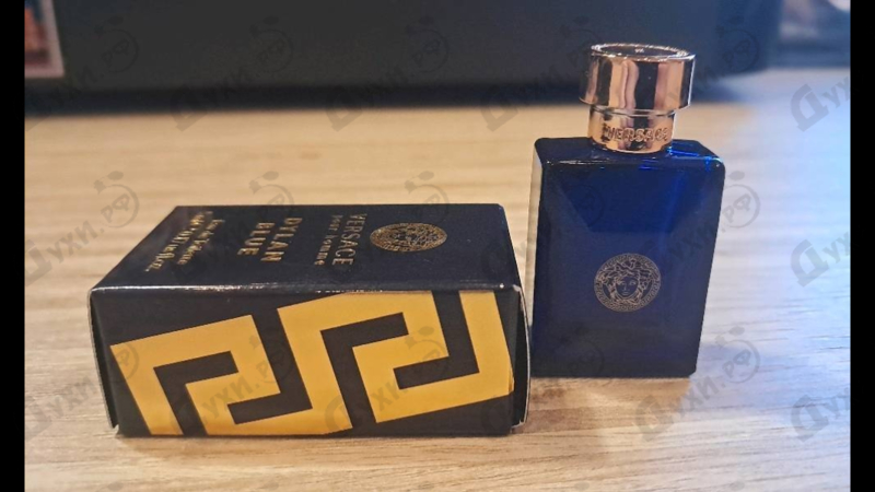 Парфюмерия Versace Dylan Blue