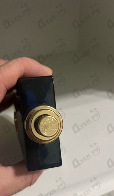 Купить Dylan Blue от Versace