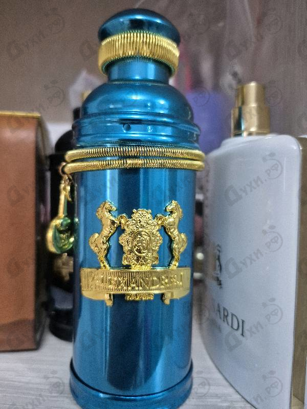 Купить Alexandre J Mandarine Sultane